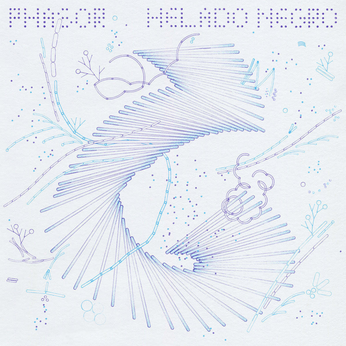 Helado Negro - Phasor | Buy the Vinyl LP from Flying Nun Records