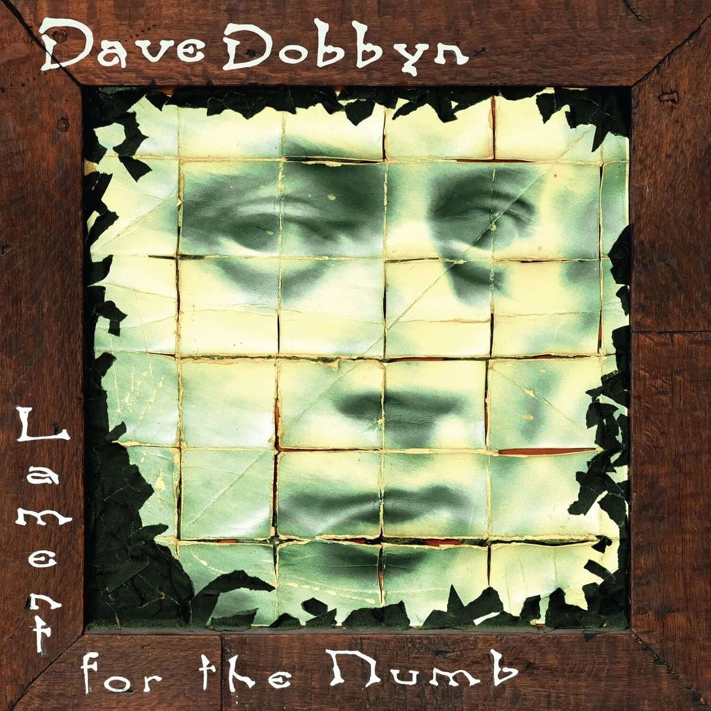 Dave Dobbyn - Lament for the Numb - Flying Nun  | Vinyl | CD