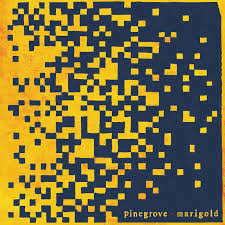 Pinegrove – Marigold (SECONDHAND)