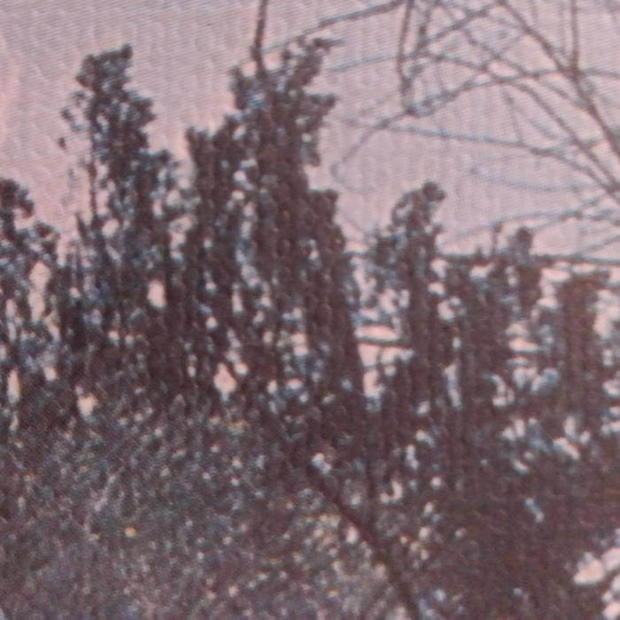 Joe Sampson - Jan-Dec 2021 Demos | Buy the Cassette from Flying Nun Records
