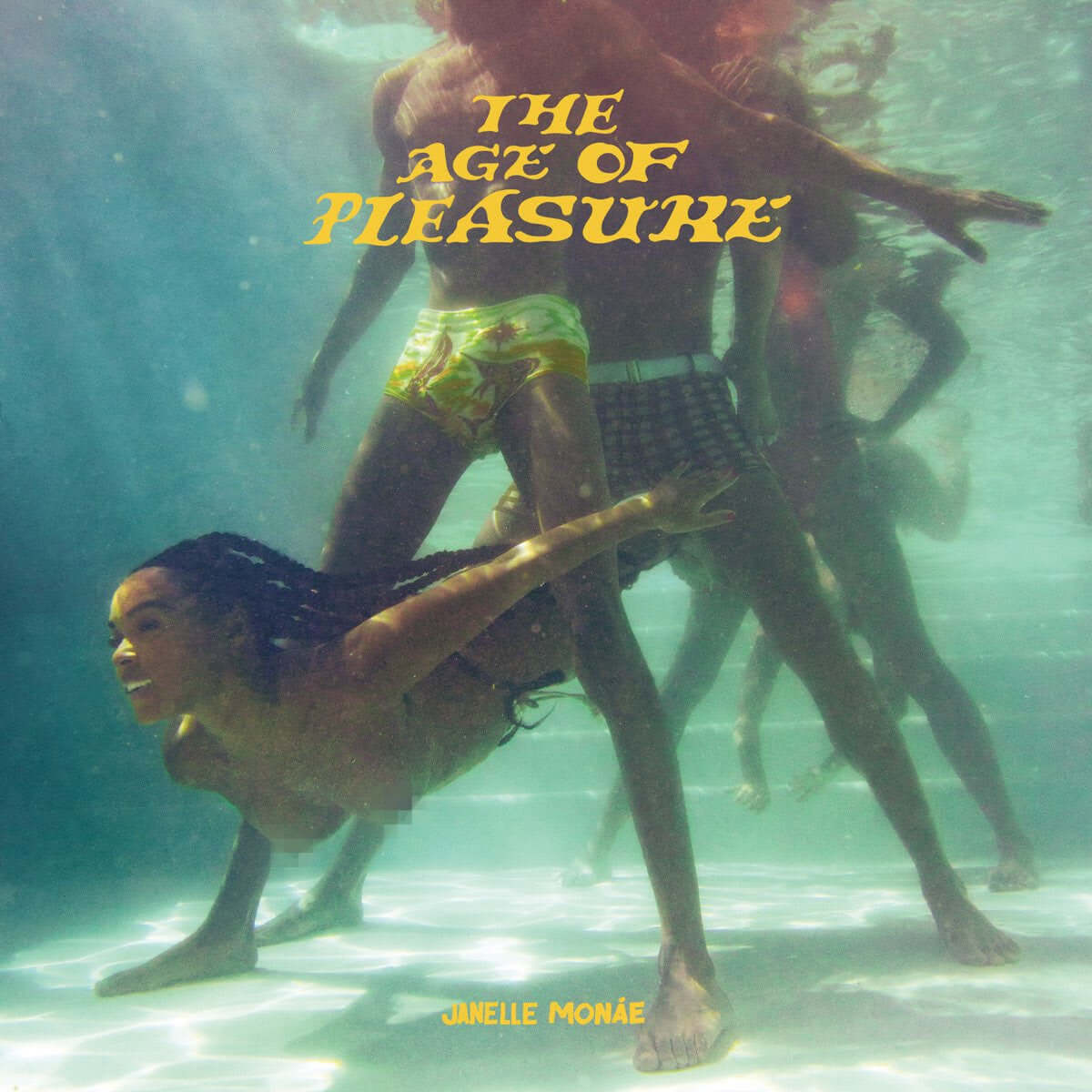 Janelle Monáe - The Age Of Pleasure - Flying Nun  | Vinyl | CD