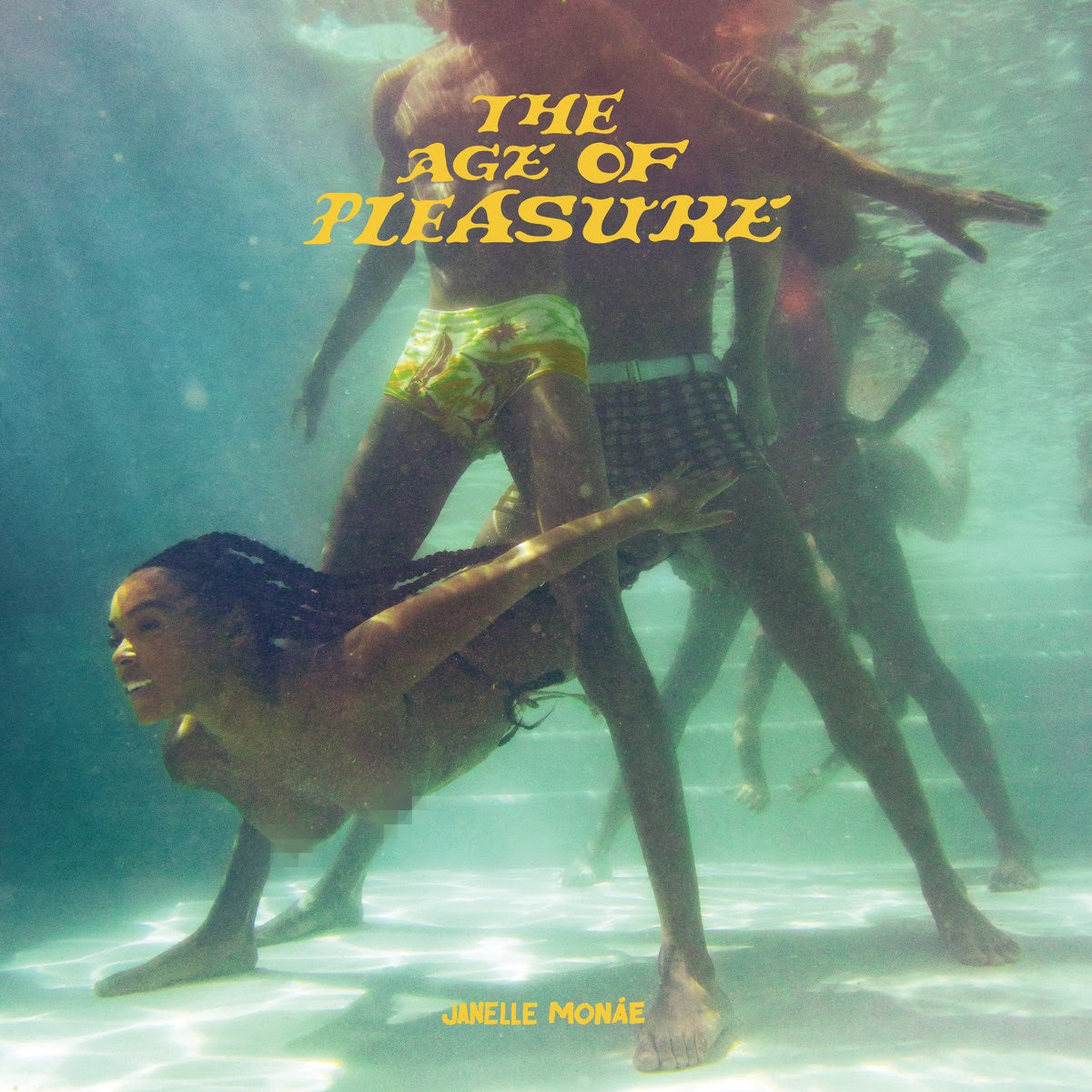 
                  
                    Janelle Monáe - The Age Of Pleasure | Buy the Vinyl LP from Flying Nun Records
                  
                