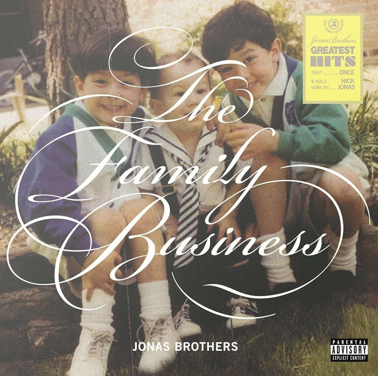 Jonas Brothers - The Family Business (Pre-Order Now | Pay Later) - Flying Nun  | Vinyl | CD