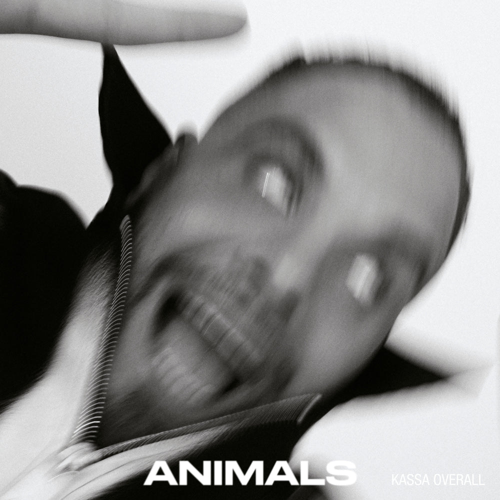 Kassa Overall - Animals | Buy the Vinyl LP from Flying Nun Records