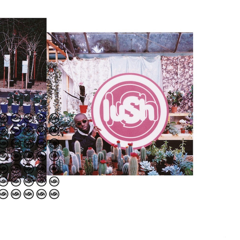 Lush - Lovelife | Buy the Vinyl LP from Flying Nun Records 
