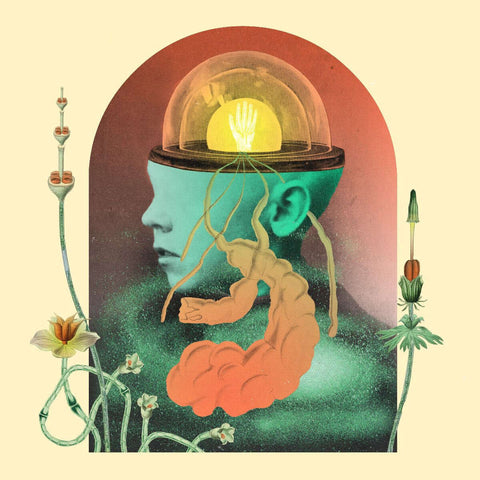 Salami Rose Joe Louis - Akousmatikous - Flying Nun  | Vinyl | CD