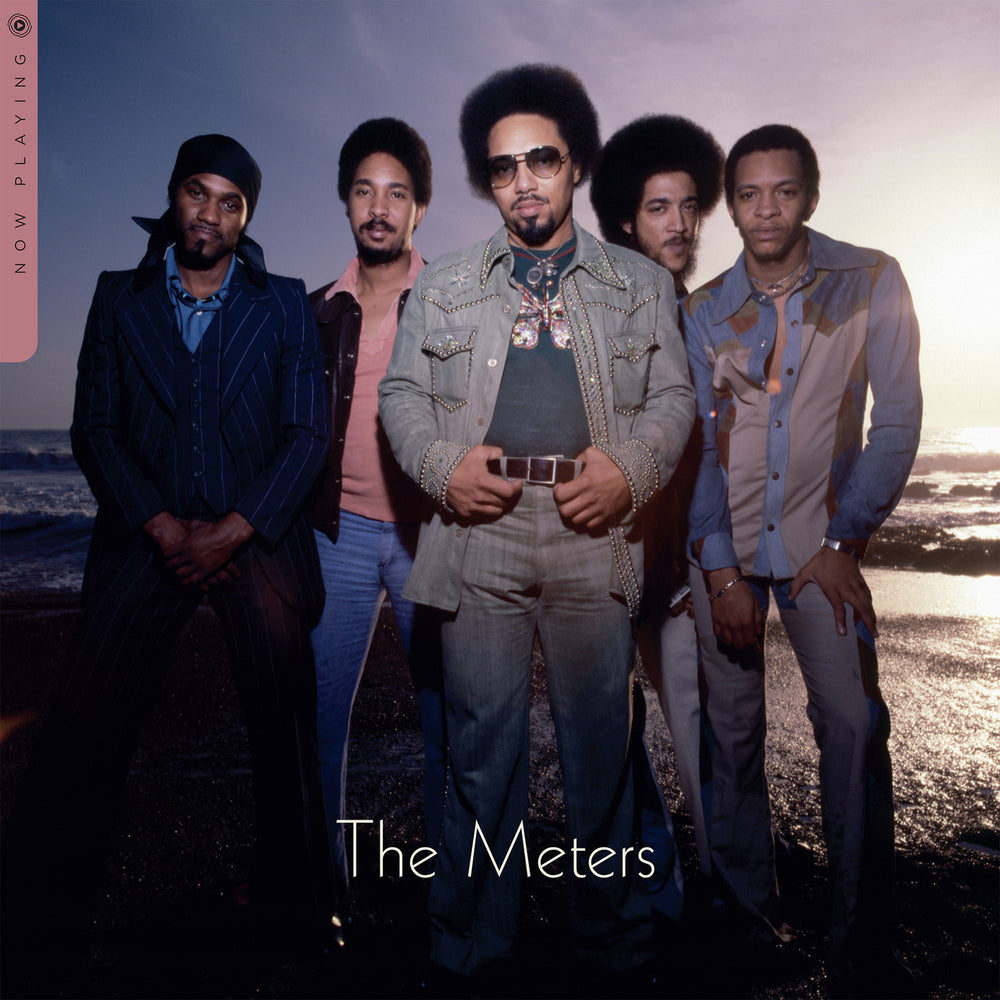 The Meters - Now Playing - Flying Nun  | Vinyl | CD