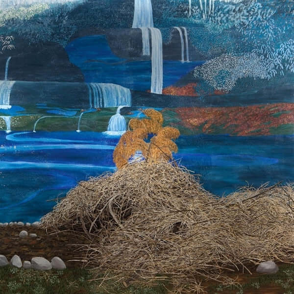 Mary Lattimore – At The Dam - Flying Nun  | Vinyl | CD