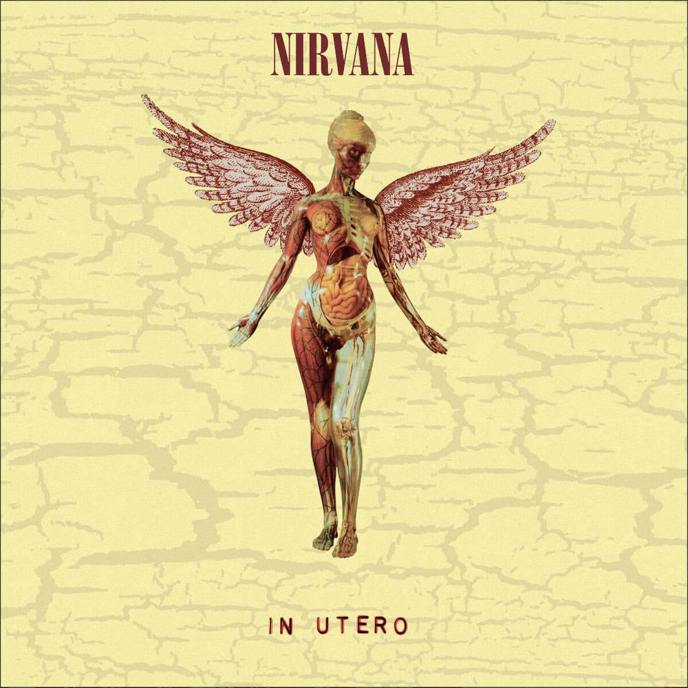 Nirvana - In Utero (30th Anniversary Edition) - Flying Nun  | Vinyl | CD