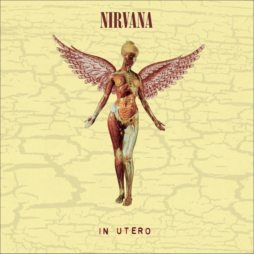 Nirvana - In Utero (30th Anniversary Edition) | Buy the Vinyl LP from Flying Nun Records