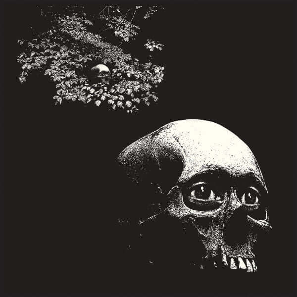 Osees – A Foul Form - Flying Nun  | Vinyl | CD