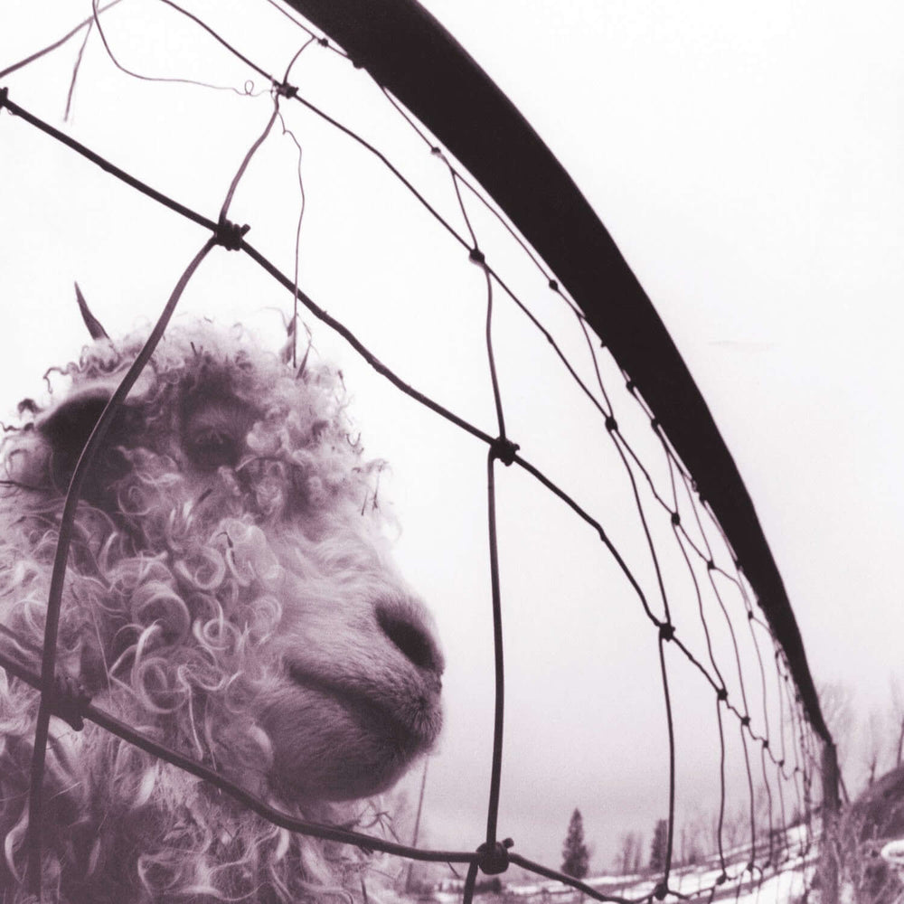 Pearl Jam - Vs (30th Anniversary Edition) - Flying Nun  | Vinyl | CD