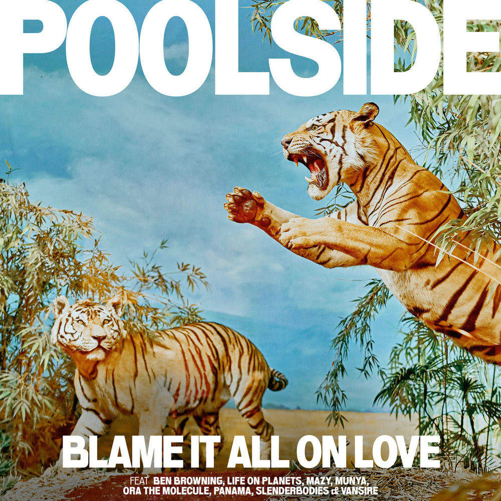 Poolside - Blame It All On Love | Buy the Vinyl LP from Flying Nun Records