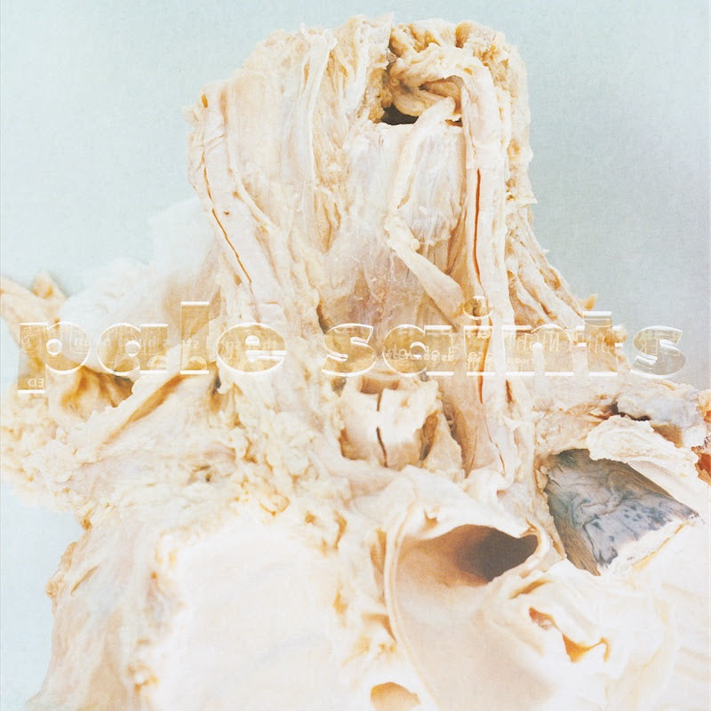 Pale Saints – In Ribbons - Flying Nun  | Vinyl | CD