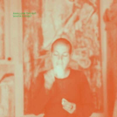 Swallow The Rat - South Locust - Flying Nun  | Vinyl | CD