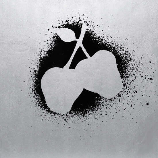 Silver Apples – Silver Apples - Flying Nun  | Vinyl | CD