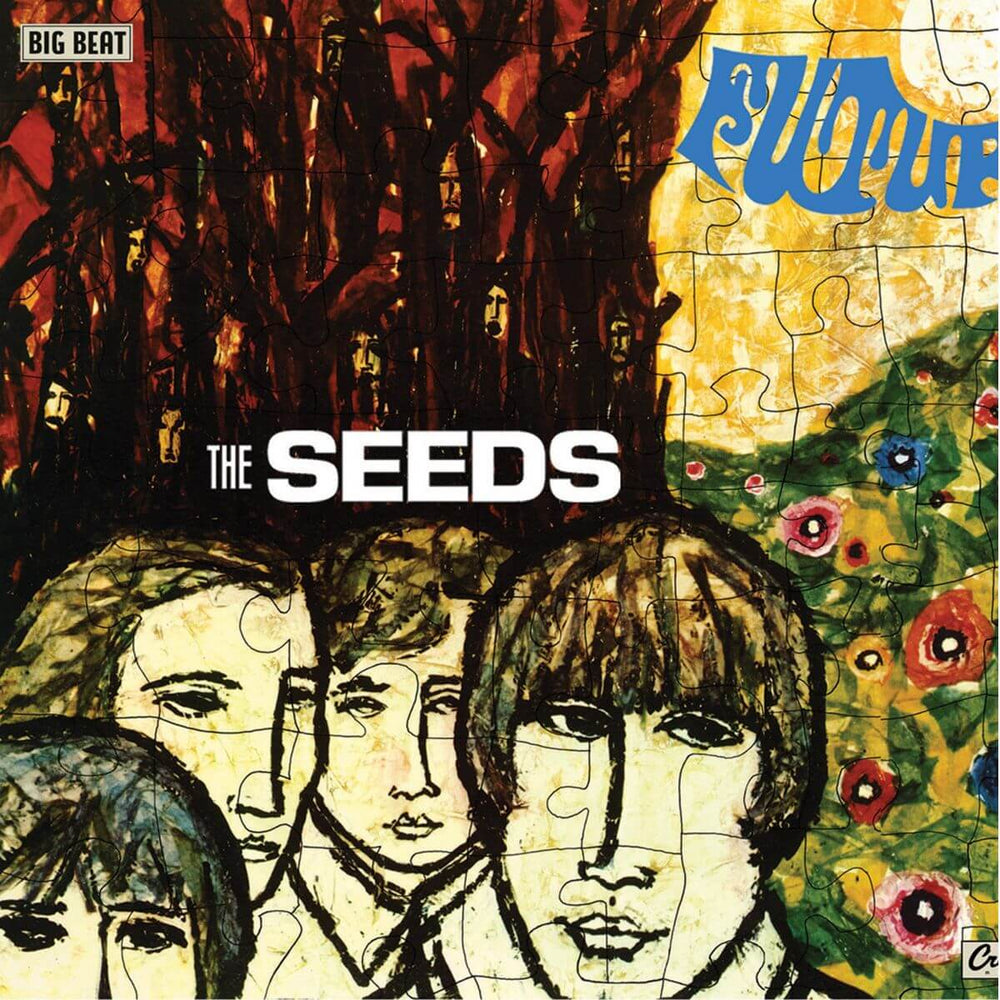 The Seeds - Future (Pre-Order Now | Pay Later) - Flying Nun  | Vinyl | CD