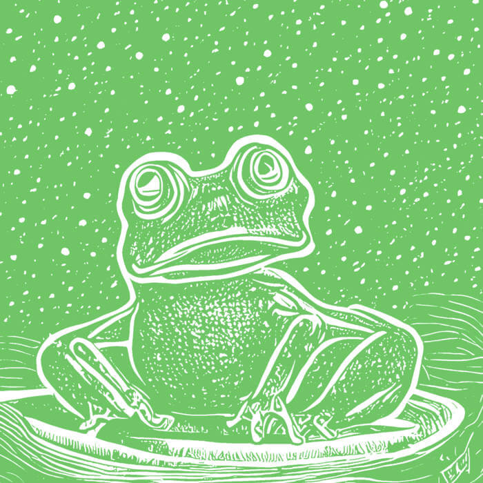 Takumi Motokawa - Toad EP  | Buy the cassette from Flying Nun Records