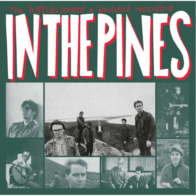 The Triffids - In The Pines | Buy the Vinyl