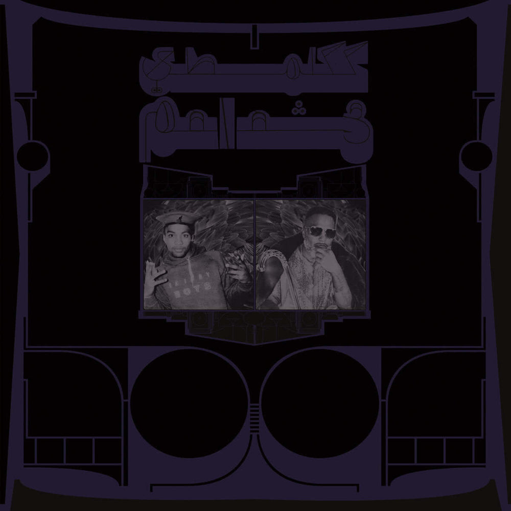 Shabazz Palaces - Exotic Birds of Prey - Flying Nun  | Vinyl | CD