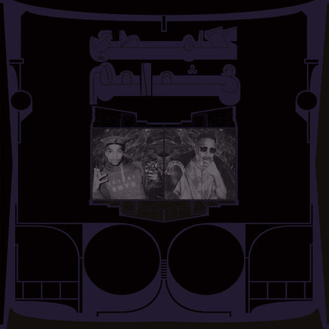 Shabazz Palaces - Exotic Birds of Prey - Flying Nun  | Vinyl | CD