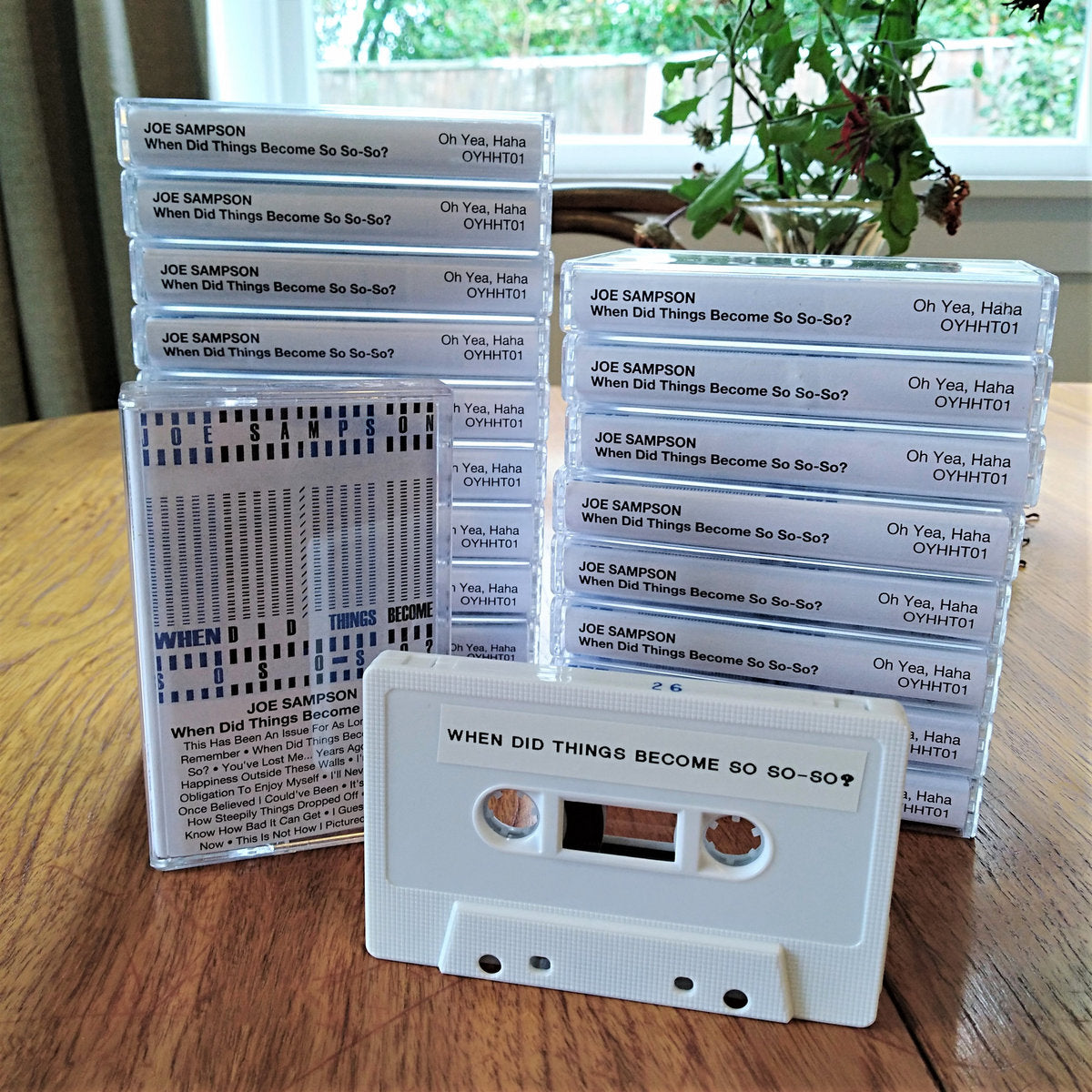 Joe Sampson - When Did Things Become So So-So? | Buy the Cassette from Flying Nun Records