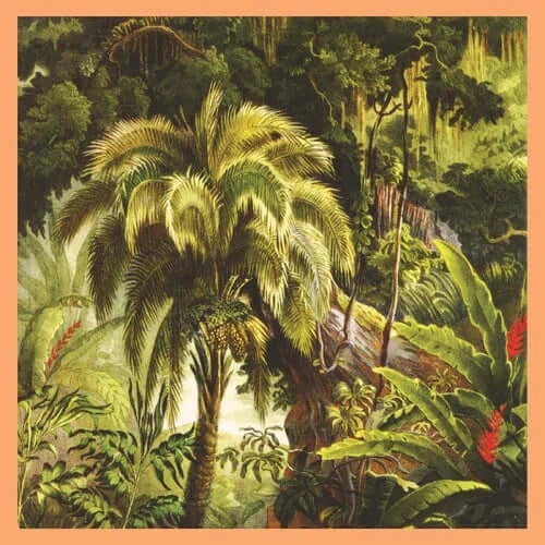 Xiu Xiu - La Foret - Flying Nun  | Vinyl | CD