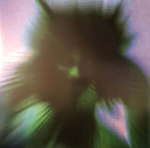 Yves Tumor – Safe In The Hands Of Love - Flying Nun  | Vinyl | CD
