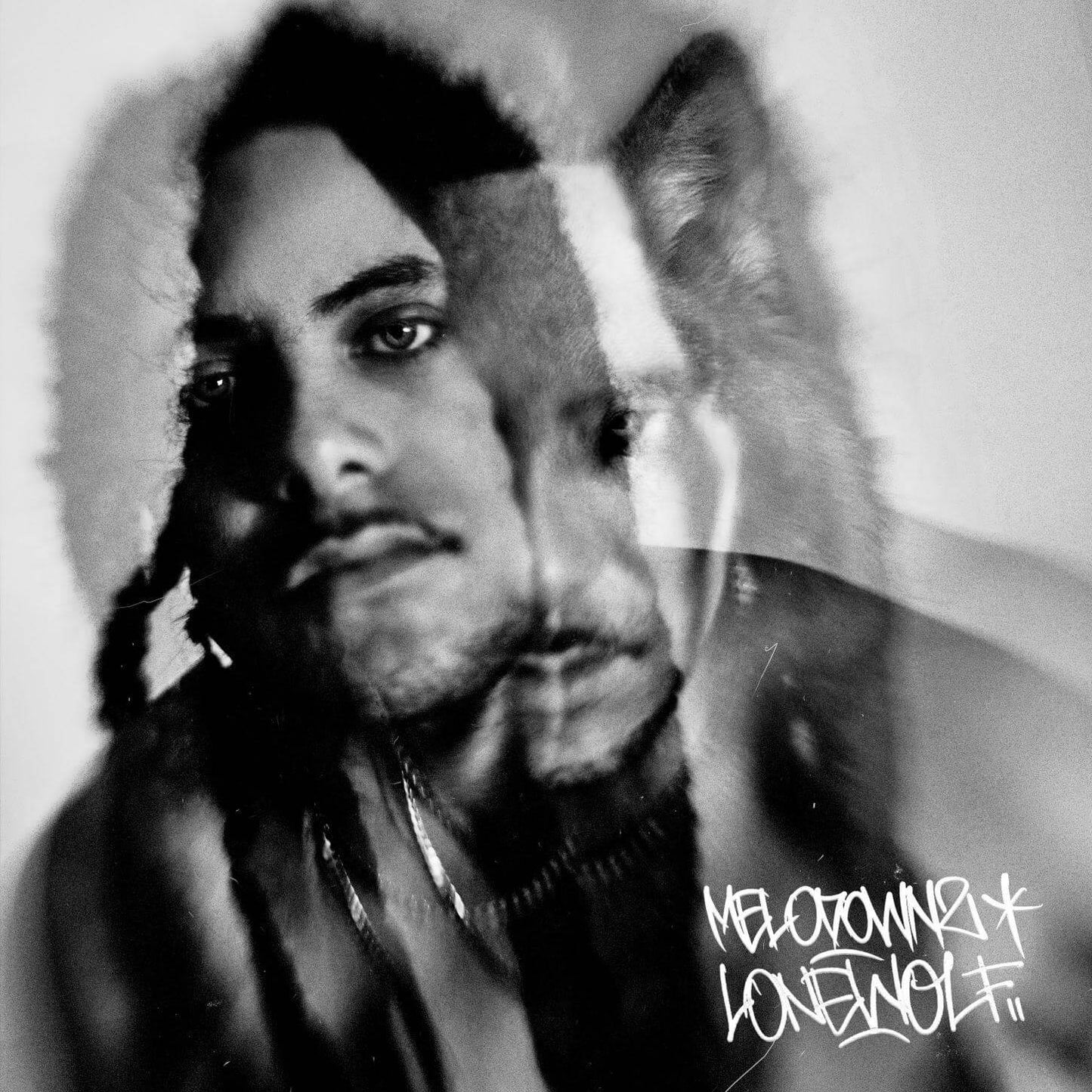 Melowdownz - Lone Wolf - Flying Nun  | Vinyl | CD