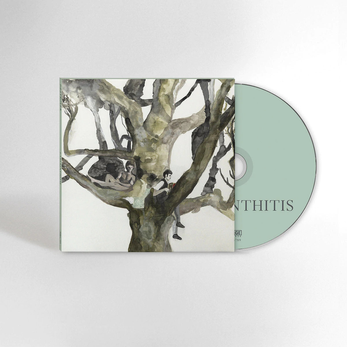 Destroyer - Labyrinthitis - Flying Nun  | Vinyl | CD