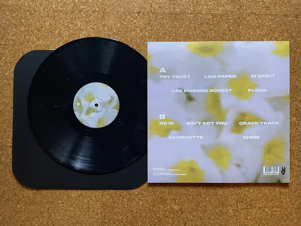 Popstrangers - In Spirit - Flying Nun  | Vinyl | CD