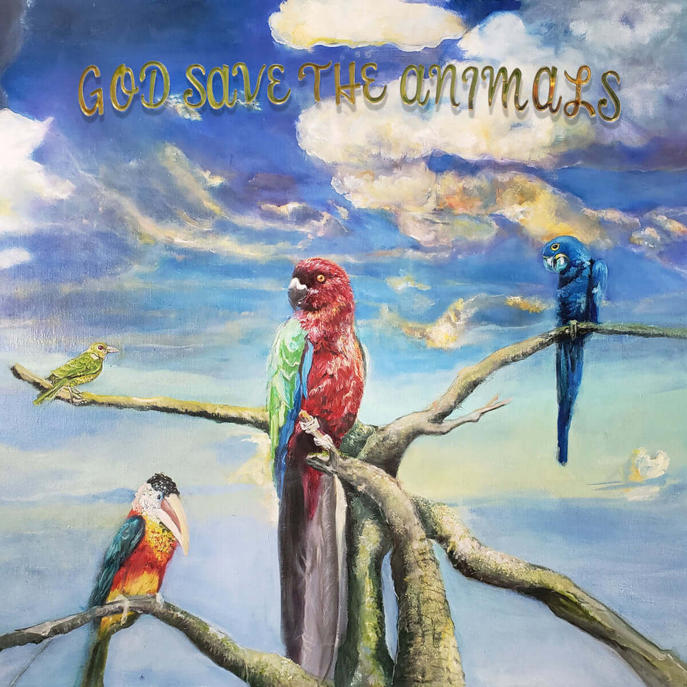 Alex G - God Save The Animals - Flying Nun  | Vinyl | CD