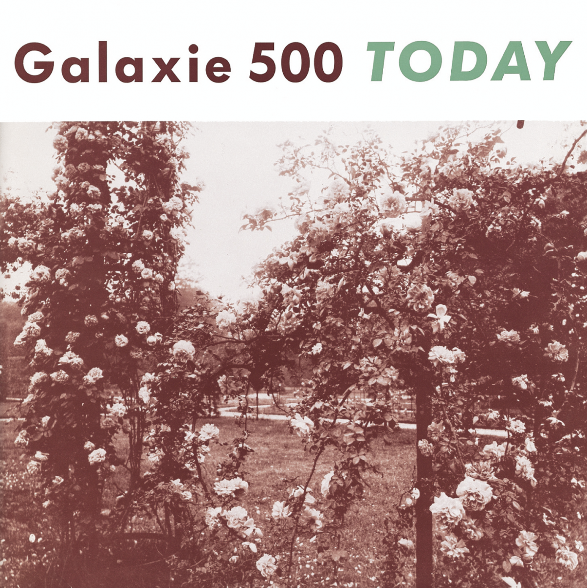 Galaxie 500 – Today - Flying Nun  | Vinyl | CD