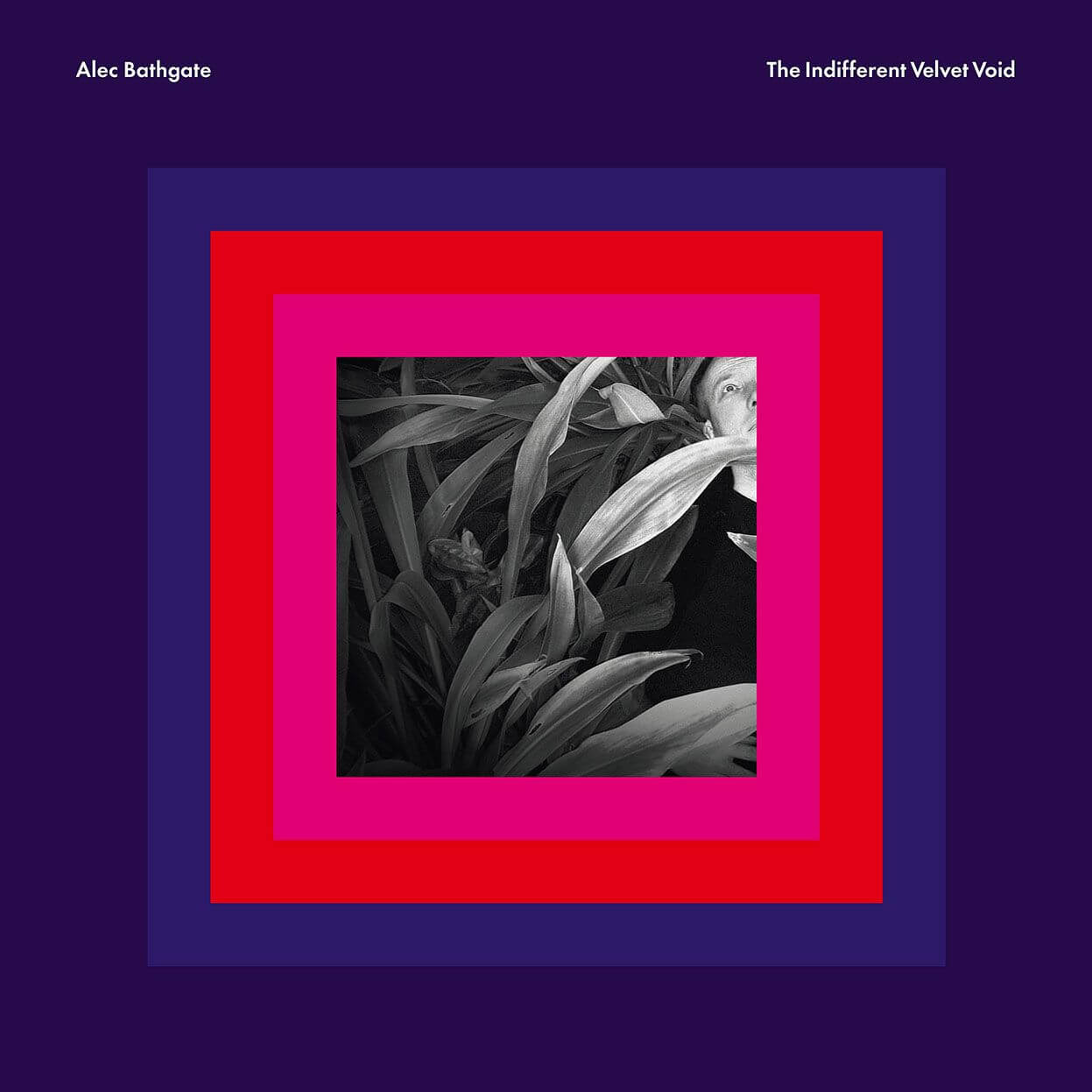 Alec Bathgate - The Indifferent Velvet Void - Flying Nun  | Vinyl | CD