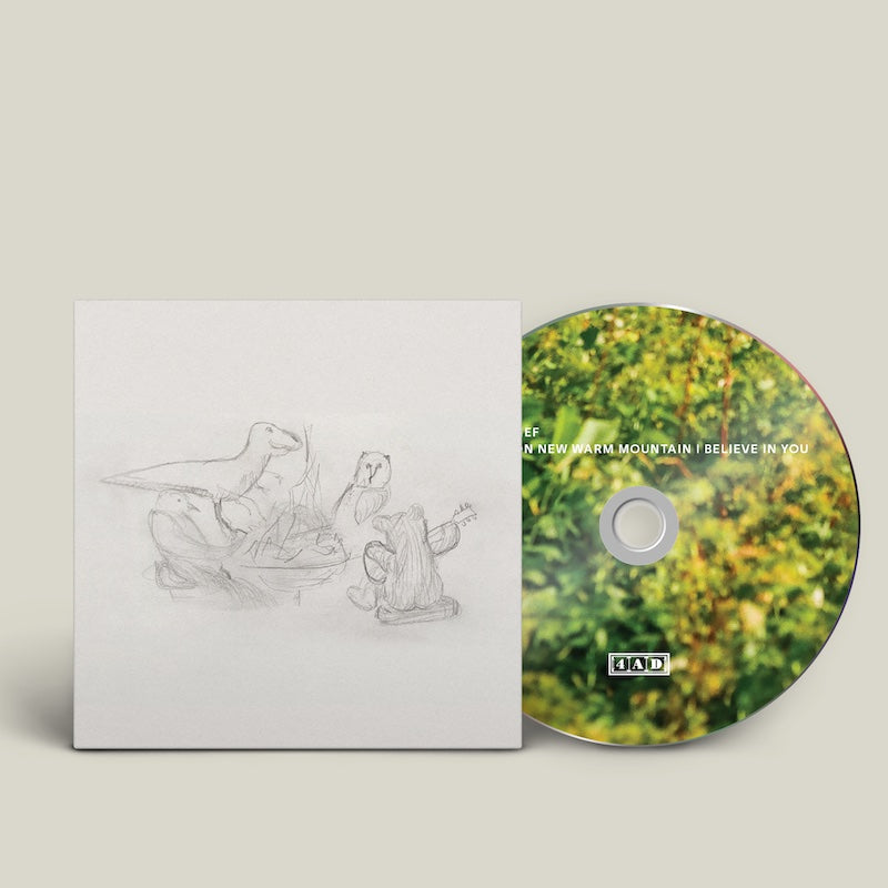 
                  
                    Big Thief - Dragon New Warm Mountain I Believe In You - Flying Nun  | Vinyl | CD
                  
                