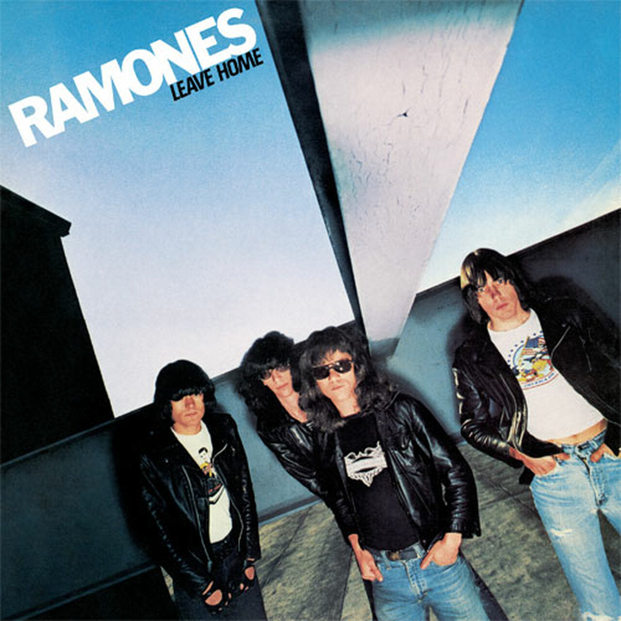 
                  
                    The Ramones punk band on Vinyl LP
                  
                