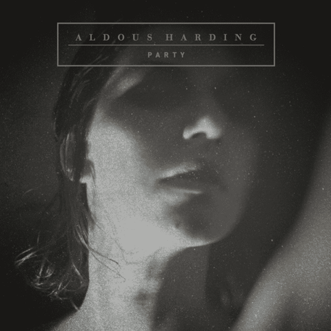 Aldous Harding - Party - Flying Nun  | Vinyl | CD