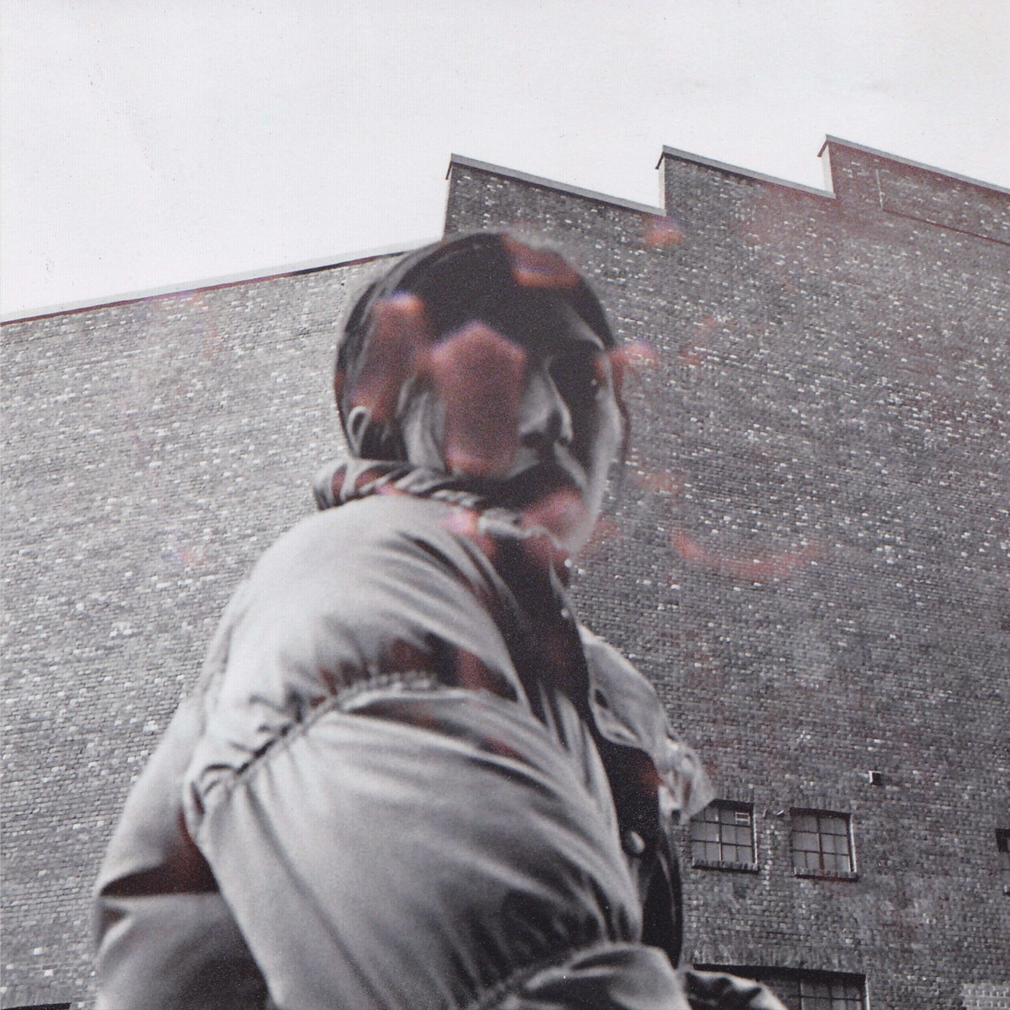 Aldous Harding - Warm Chris - Flying Nun  | Vinyl | CD