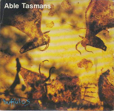 FN063 Able Tasmans / Raucous Laughter - Buffalos (1986) - Flying Nun  | Vinyl | CD