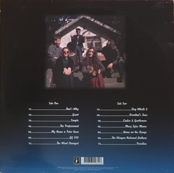 FN312 Able Tasmans - Store In A Cool Place (1995) - Flying Nun  | Vinyl | CD