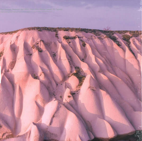 Autechre - Amber - Flying Nun  | Vinyl | CD