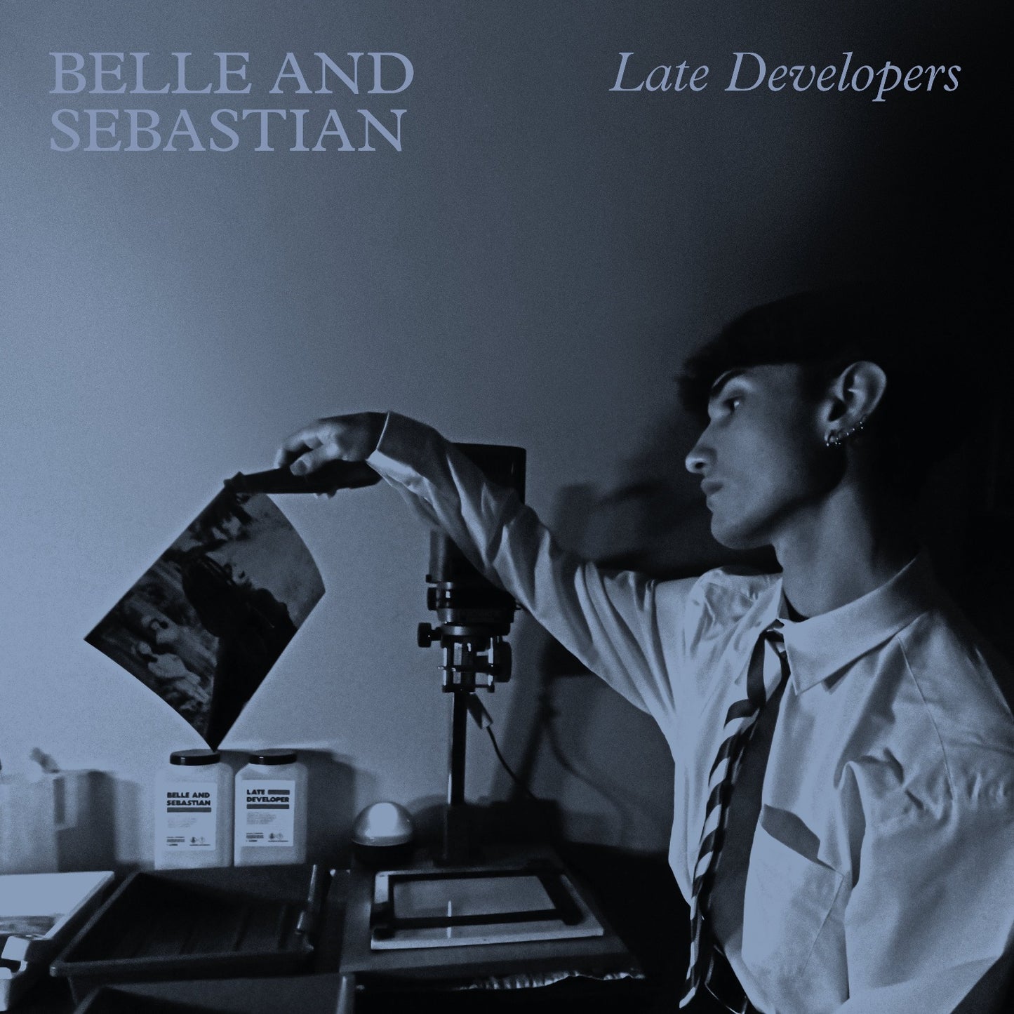 Belle and Sebastian - Late Developers | Vinyl LP