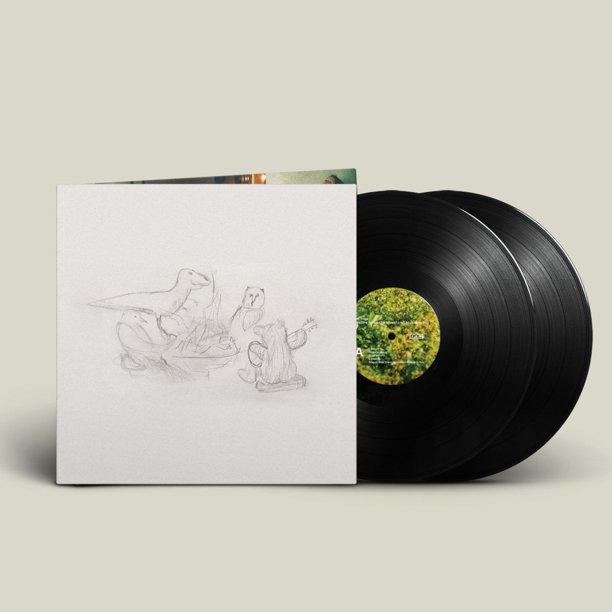 Big Thief - Dragon New Warm Mountain I Believe In You Vinyl LP