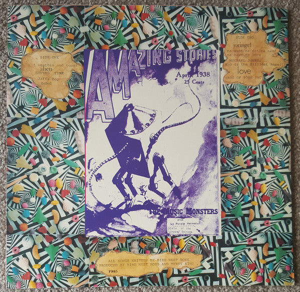 FN065 Bird Nest Roys - Bird Nest Roys (1987) - Flying Nun  | Vinyl | CD