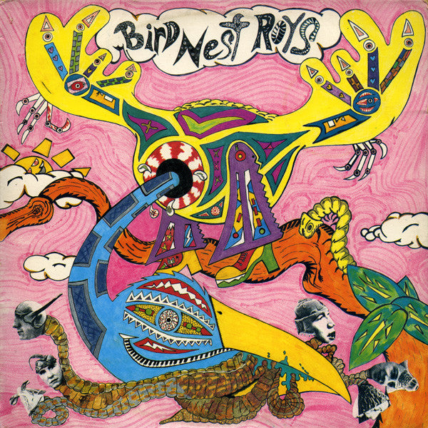 FN065 Bird Nest Roys - Bird Nest Roys (1987) - Flying Nun  | Vinyl | CD