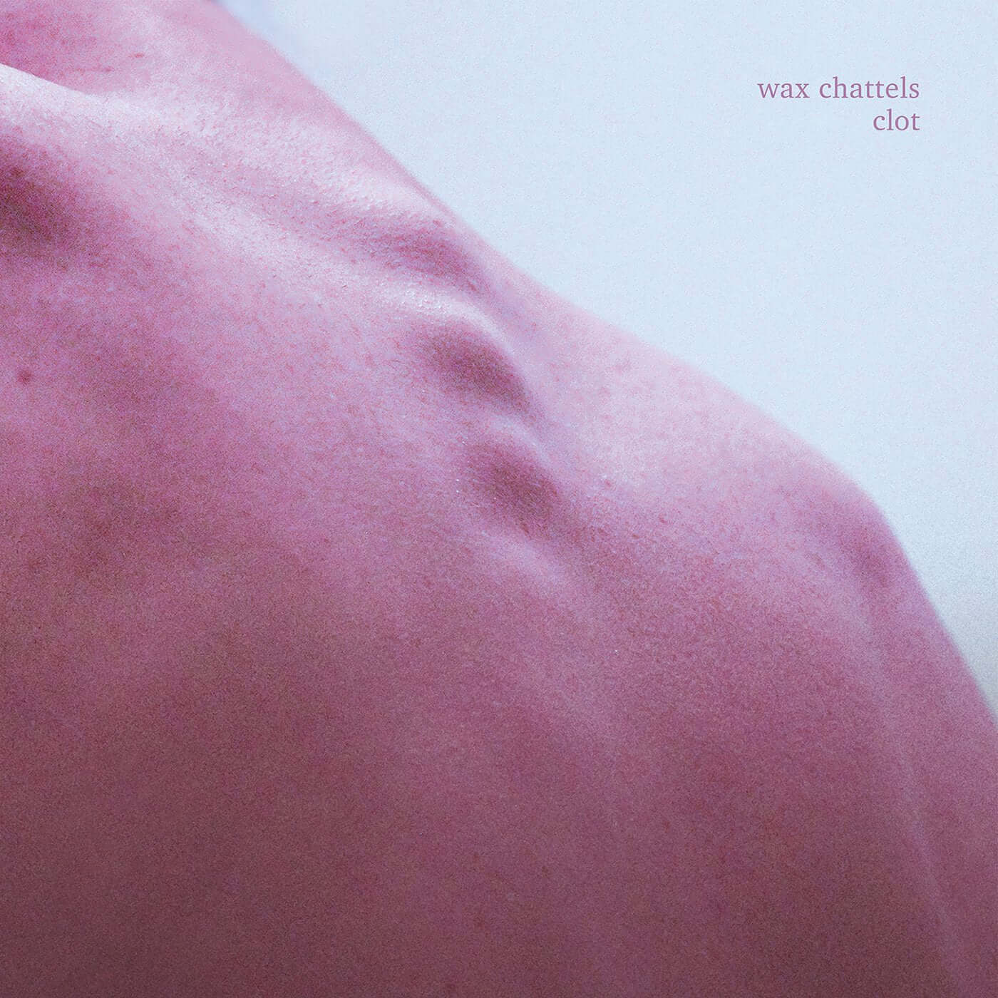 Wax Chattels - Clot - Flying Nun  | Vinyl | CD