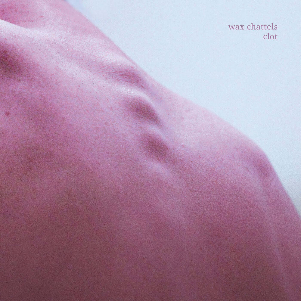 Wax Chattels - Clot - Flying Nun  | Vinyl | CD