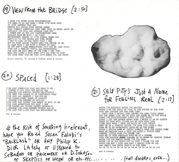 FN249 Chris Knox - Polyfoto Duck Shaped Pain & 