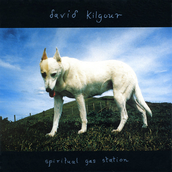 FN308 David Kilgour - Spiritual Gas Station ‎(1994) - Flying Nun  | Vinyl | CD