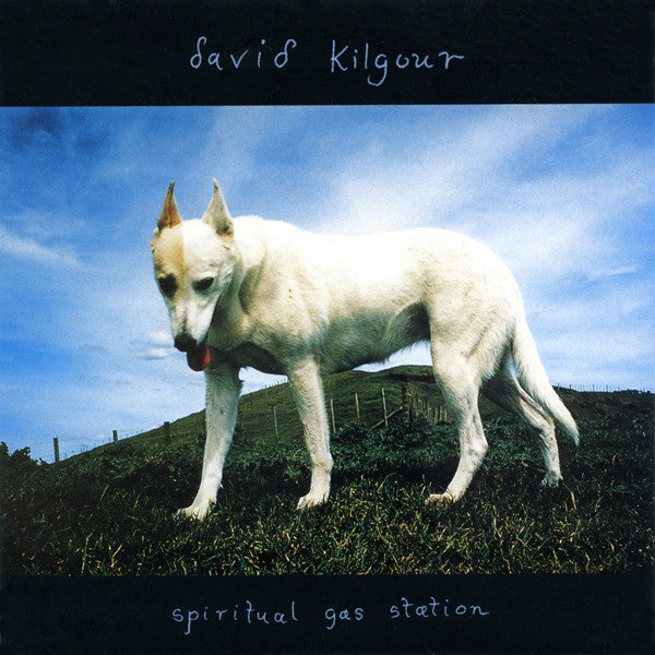 FN308 David Kilgour - Spiritual Gas Station ‎(1994)